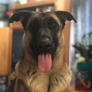 Meet your Posher, Kierna